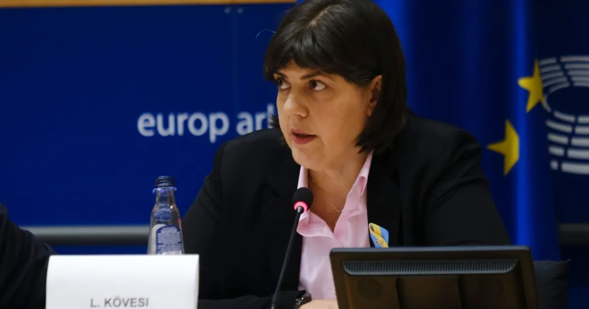 Frauda fondurilor europene din Dolj: cinci persoane sunt în judecată pentru trucarea licitațiilor