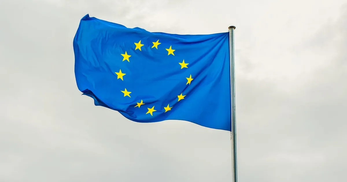 Ancheta Parchetului European asupra grupului ID: Percheziții la sediile Parlamentului European din Bruxelles și Strasbourg