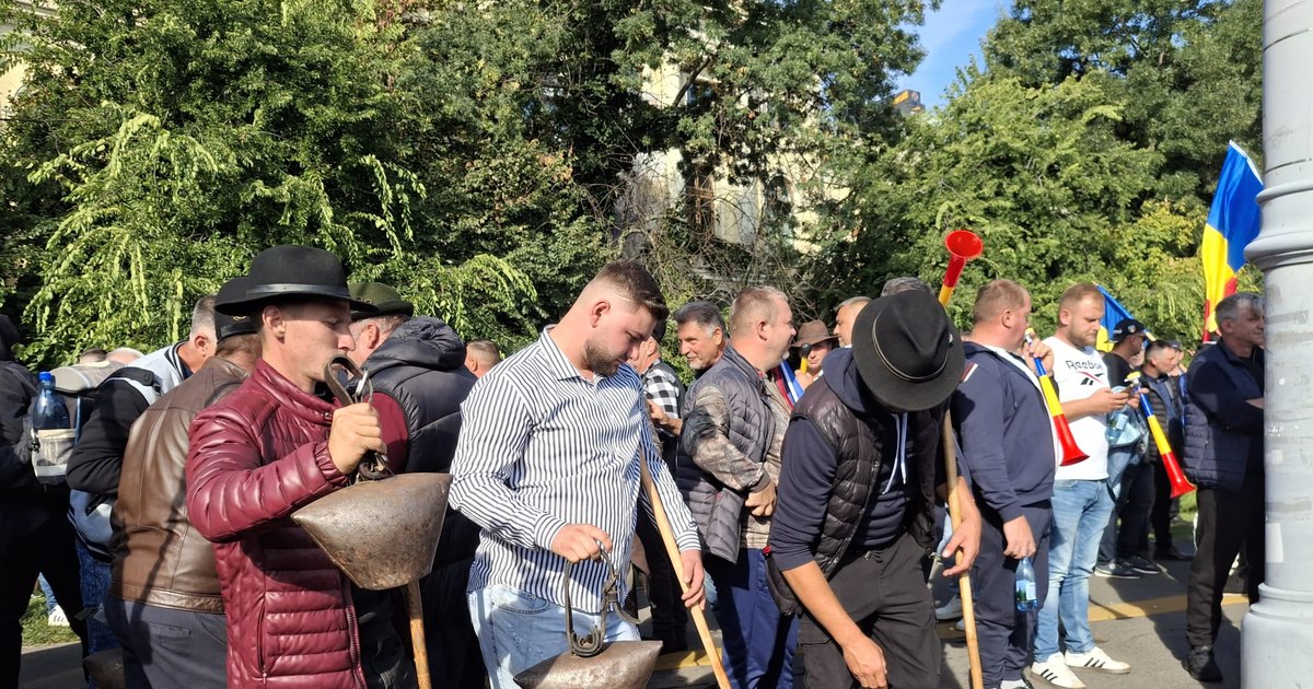 Conflict între MAI și crescătorii de ovine: Fermierii susțin că problemele nu sunt rezolvate