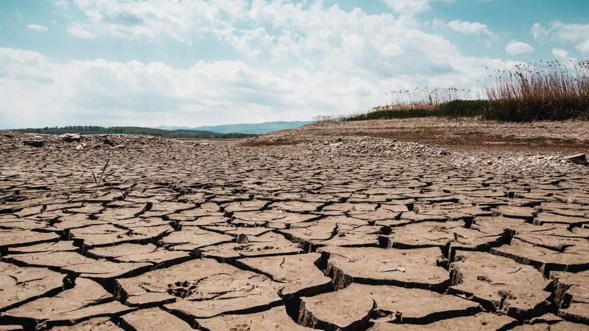 Noua strategie a UE pentru reziliența climatică: Guvernele vor fi obligate să pregătească planuri de adaptare