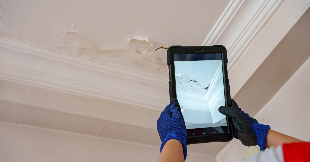 Fisuri în pereți după renovarea vecinului: cum poți obține despăgubiri și cine plătește reparațiile