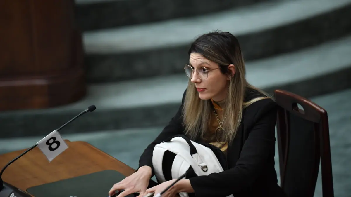 Audit la Ministerul Mediului: Nereguli financiare și verificări defectuoase cu drona aeriană