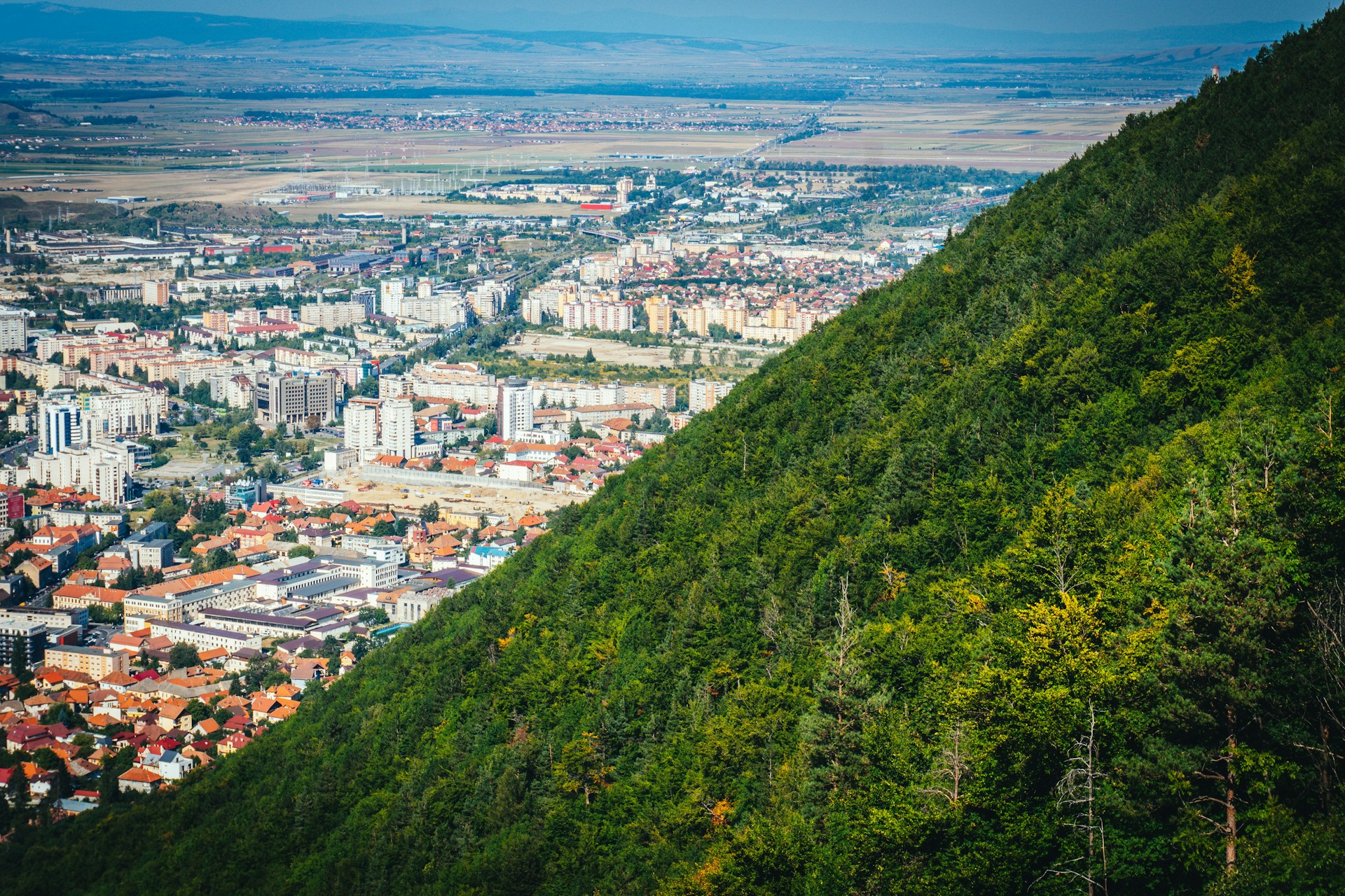 Primarul Brașov propune extinderea gratuității transportului public pe tot weekendul