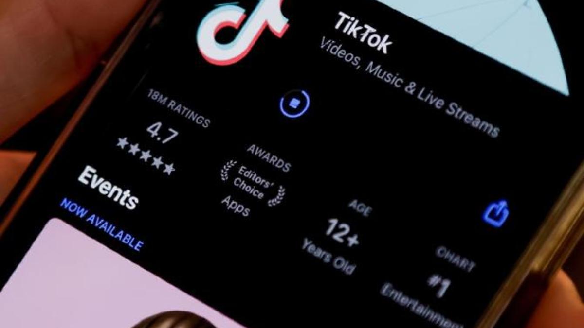 TikTok este un drog care nu poate fi interzis în România, avertizează Radu Herjeu
