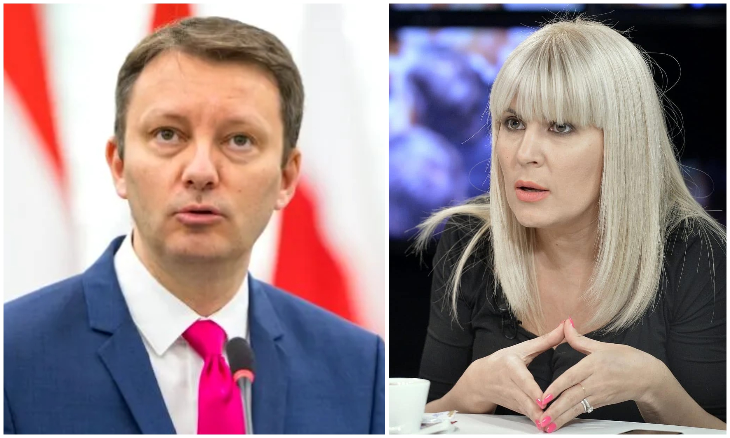 Elena Udrea o acuză pe Siegfried Mureșan de lipsă de integritate: știa de banii lui „Pinalty” din 2014