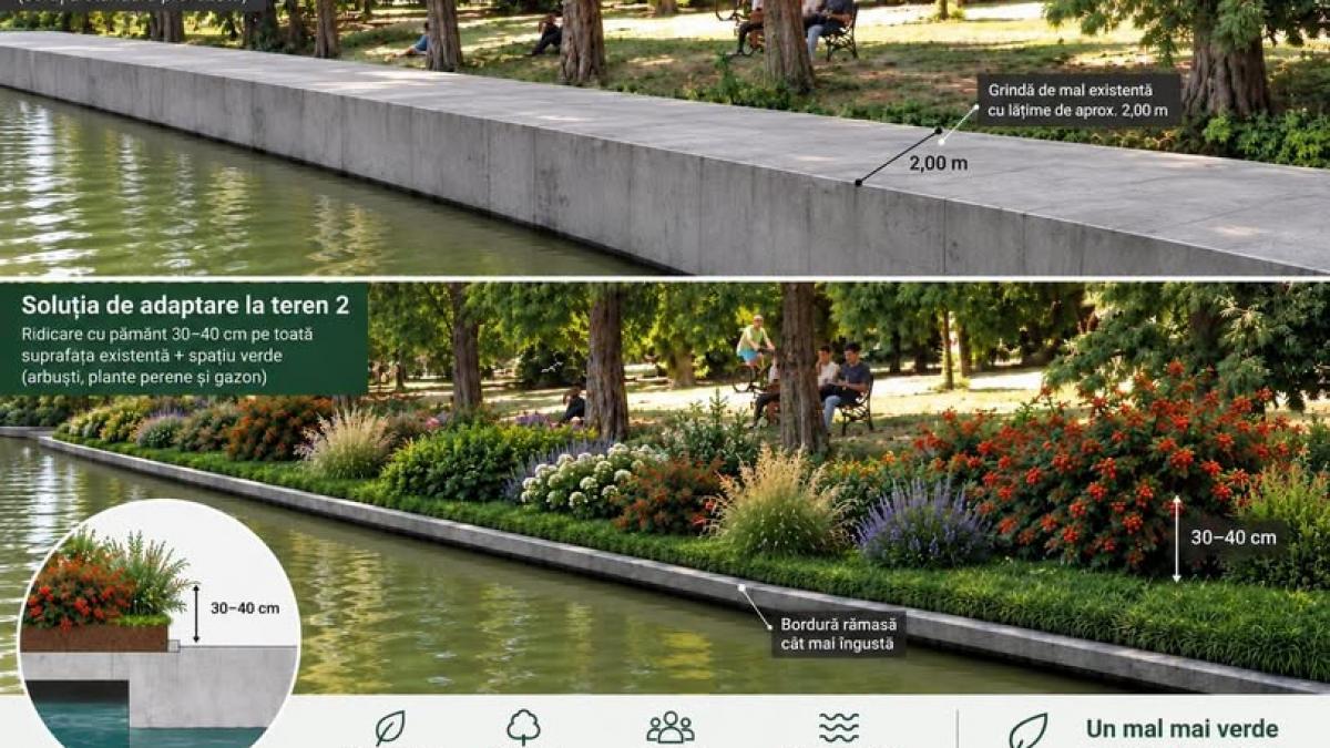 Primăria Capitalei renunță la defrișarea masivă din Herăstrău după evaluarea arborilor