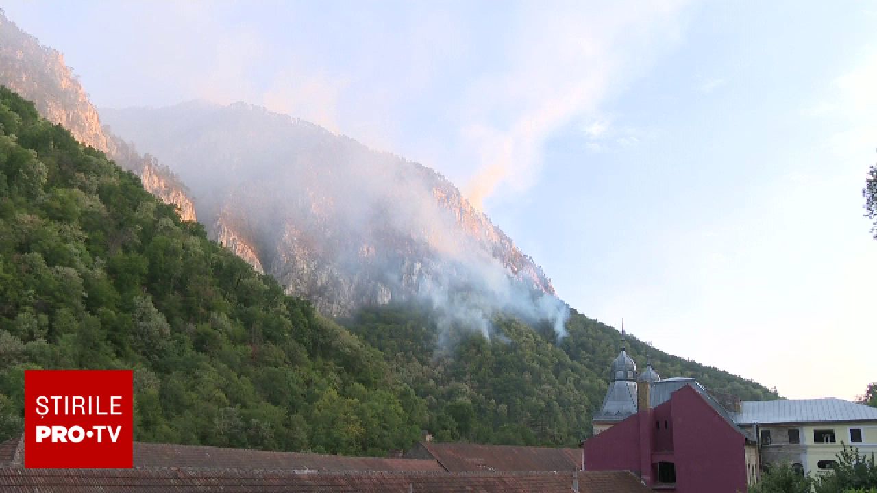 Scandal în Parcul Național Domogled: Agent Green solicită investigarea deciziilor autorităților după incendiu