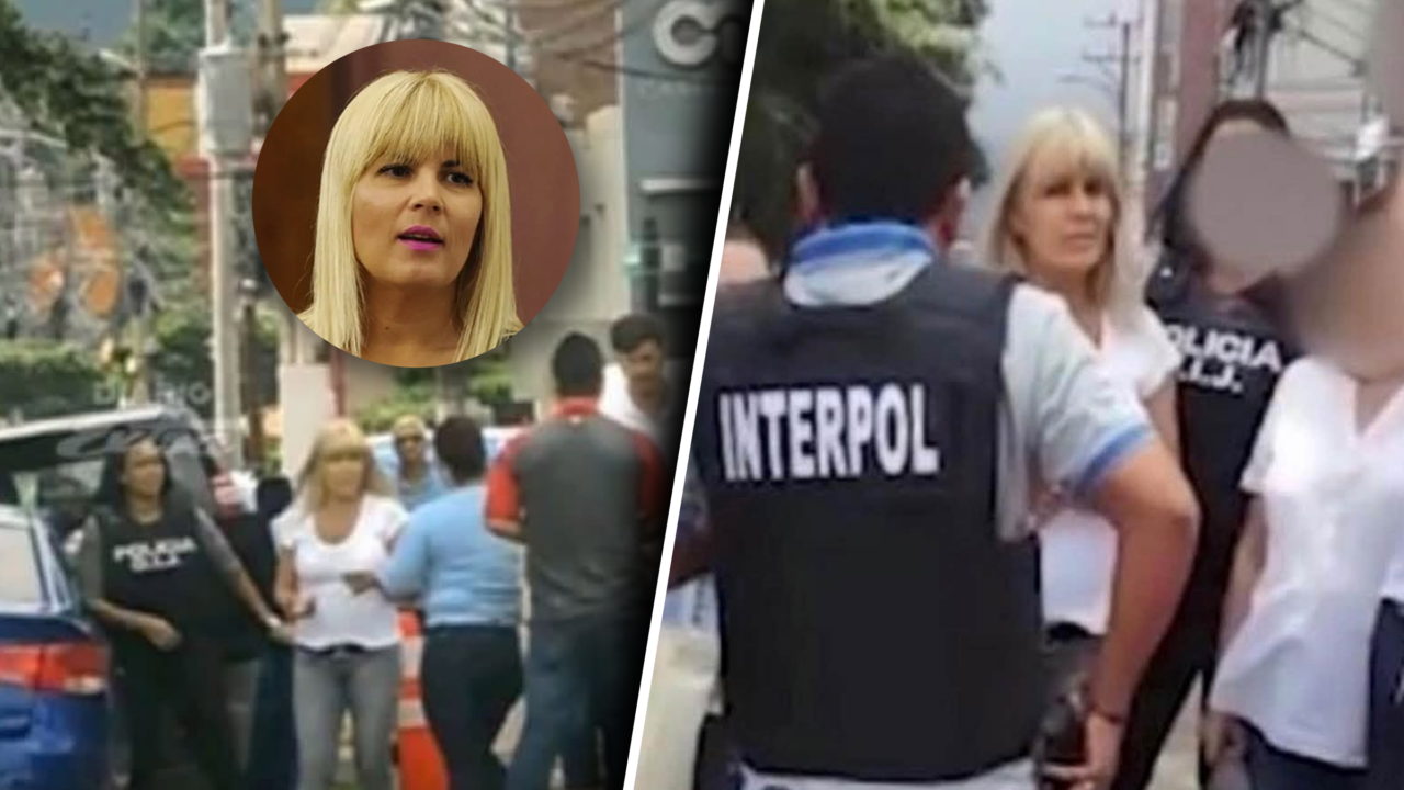 Elena Udrea atacă PNL și miniștrii Justiției: „Nu au avut nicio tresărire față de abuzul care mi se întâmpla”