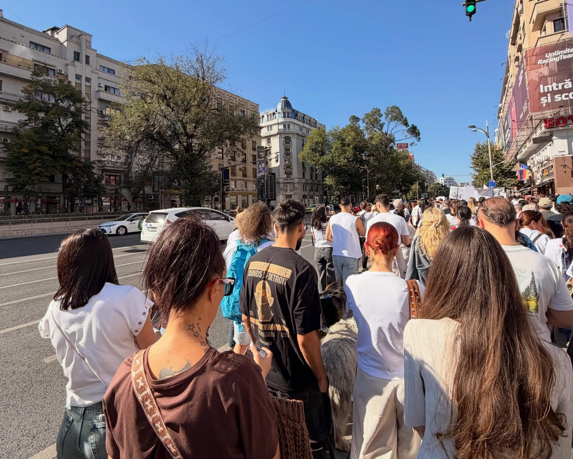 Protest masiv în București de Ziua Internațională a Animalelor: peste 70 de ONG-uri cer schimbări reale
