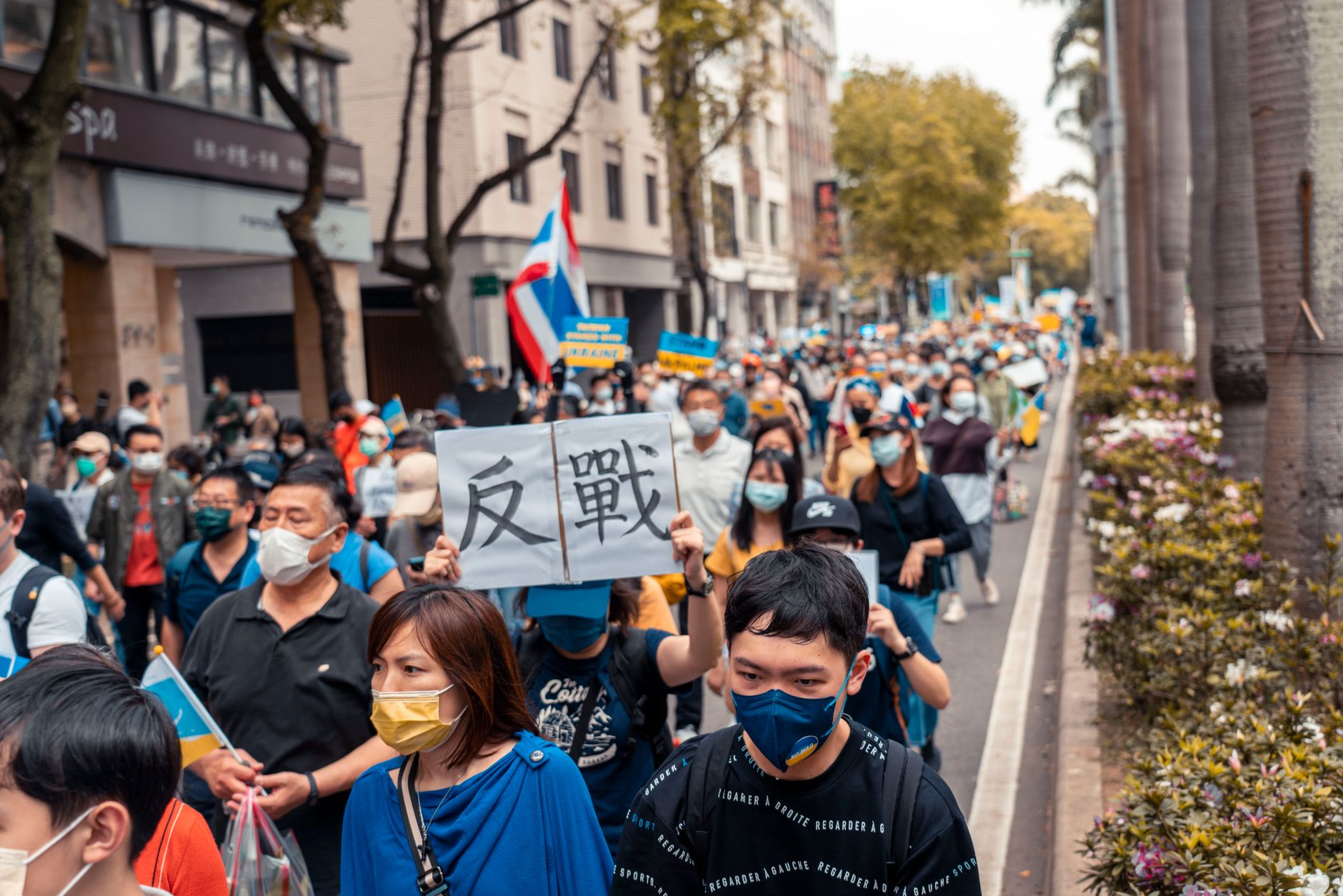 Protest masiv la București: peste 70 de ONG-uri cer oprirea uciderii animalelor din adăposturi