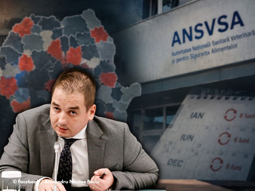 Sistem de interimat la DSVSA: Direcții conduse fără concurs prin numiri temporare repetate