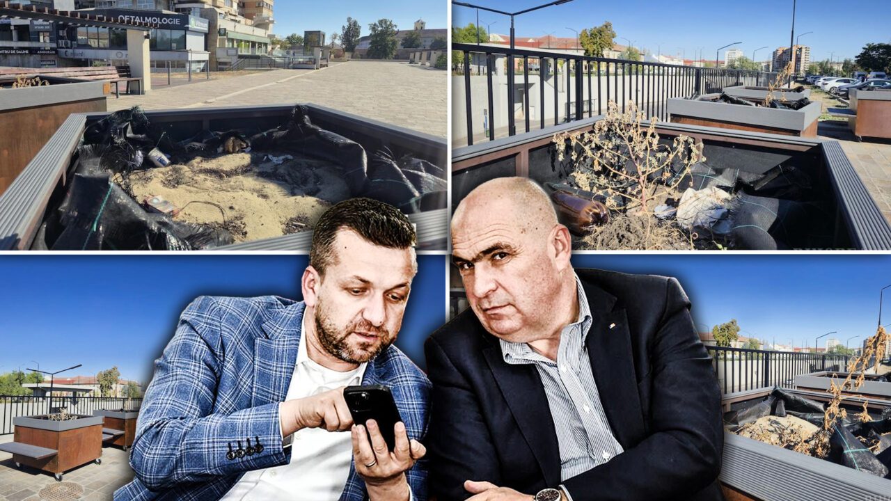 Investiție de milioane în Oradea: Copacii din ghiveciuri de 2.600 de euro s-au uscat după doar șase luni