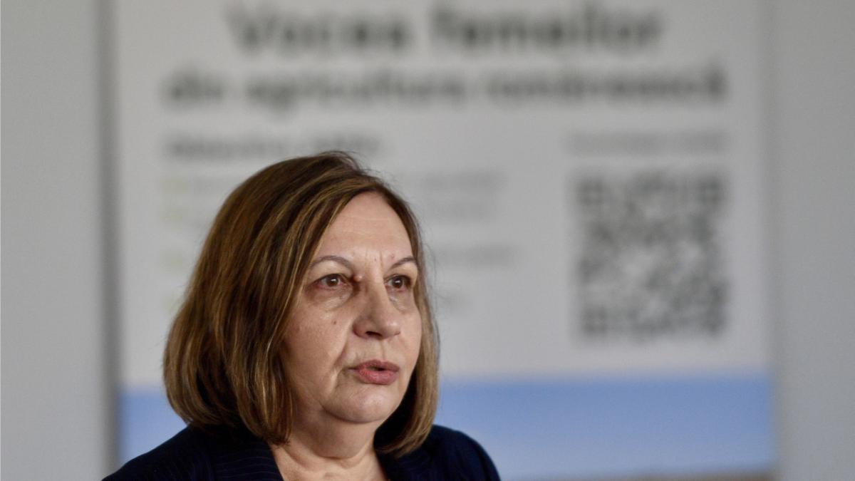 Conflict la ANM: Elena Mateescu respinge acuzațiile ministrului și susține că este ținta unei campanii politice