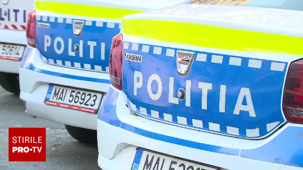 Scandal în București: Un cerșetor este suspectat că sedează și ucide câini pentru a obține milă